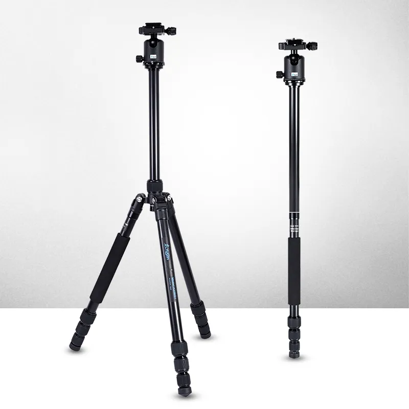 Photo and Video Photography